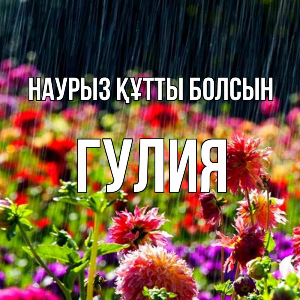 Открытка на каждый день с именем, Гулия Наурыз құтты болсын цветы под дождиком к наурызу Прикольная открытка с пожеланием онлайн скачать бесплатно 