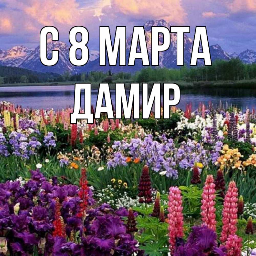 Открытка на каждый день с именем, Дамир С 8 МАРТА международный женский день Прикольная открытка с пожеланием онлайн скачать бесплатно 