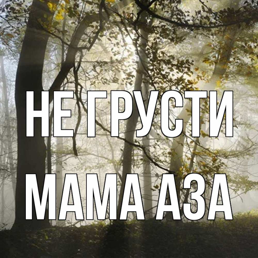 Открытка на каждый день с именем, Мама-Аза Не грусти лес и свет Прикольная открытка с пожеланием онлайн скачать бесплатно 