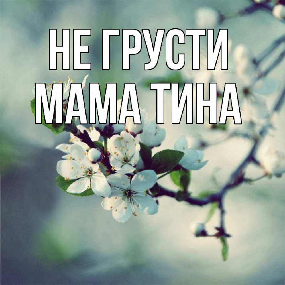 Открытка на каждый день с именем, Мама-Тина Не грусти яблоня в цвету 1 Прикольная открытка с пожеланием онлайн скачать бесплатно 