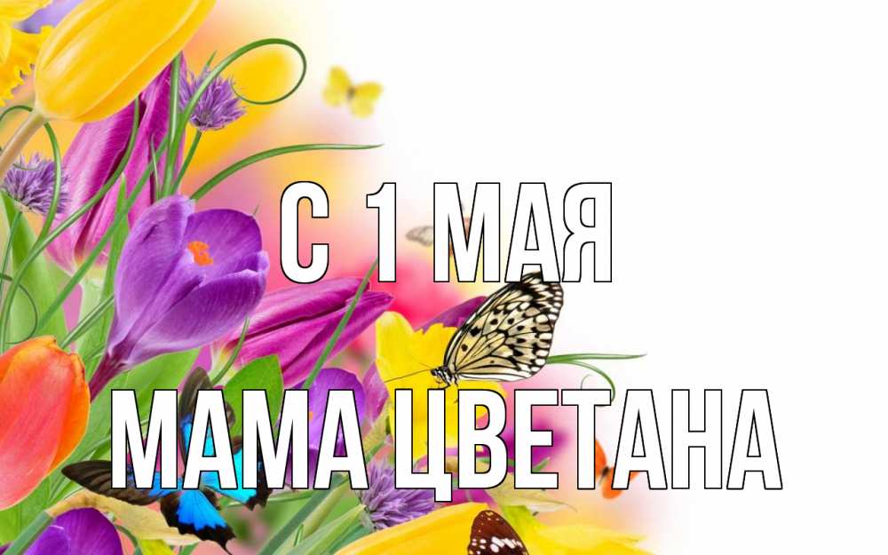 Открытка на каждый день с именем, Мама-Цветана С 1 мая С 1 мая Прикольная открытка с пожеланием онлайн скачать бесплатно 