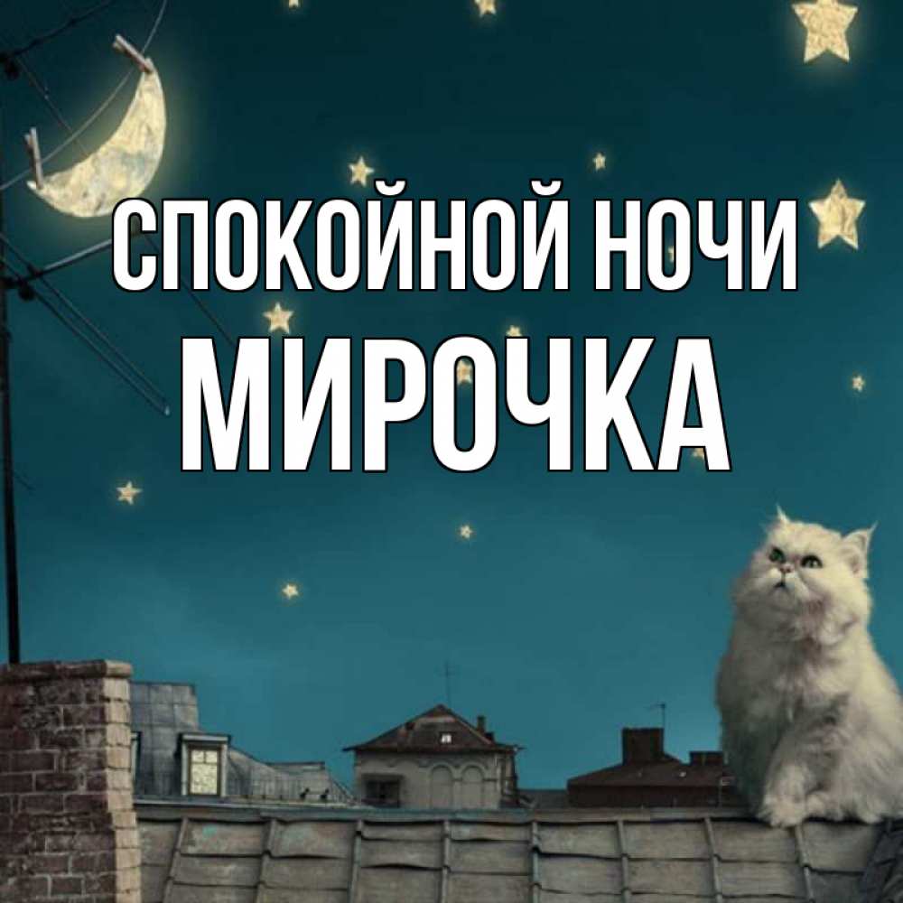 Открытка на каждый день с именем, Мирочка Спокойной ночи белый кот сидит на крыше Прикольная открытка с пожеланием онлайн скачать бесплатно 