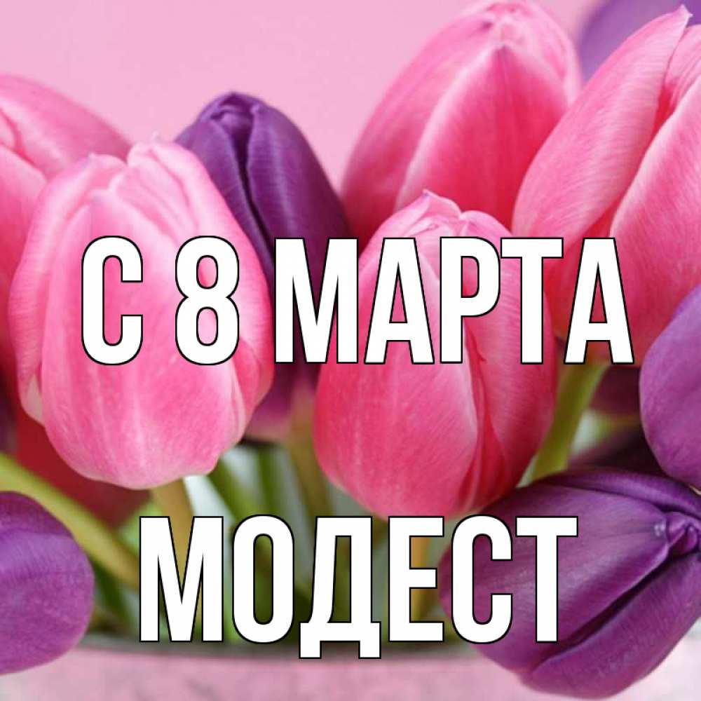 Открытка на каждый день с именем, Модест С 8 марта маме 1 Прикольная открытка с пожеланием онлайн скачать бесплатно 