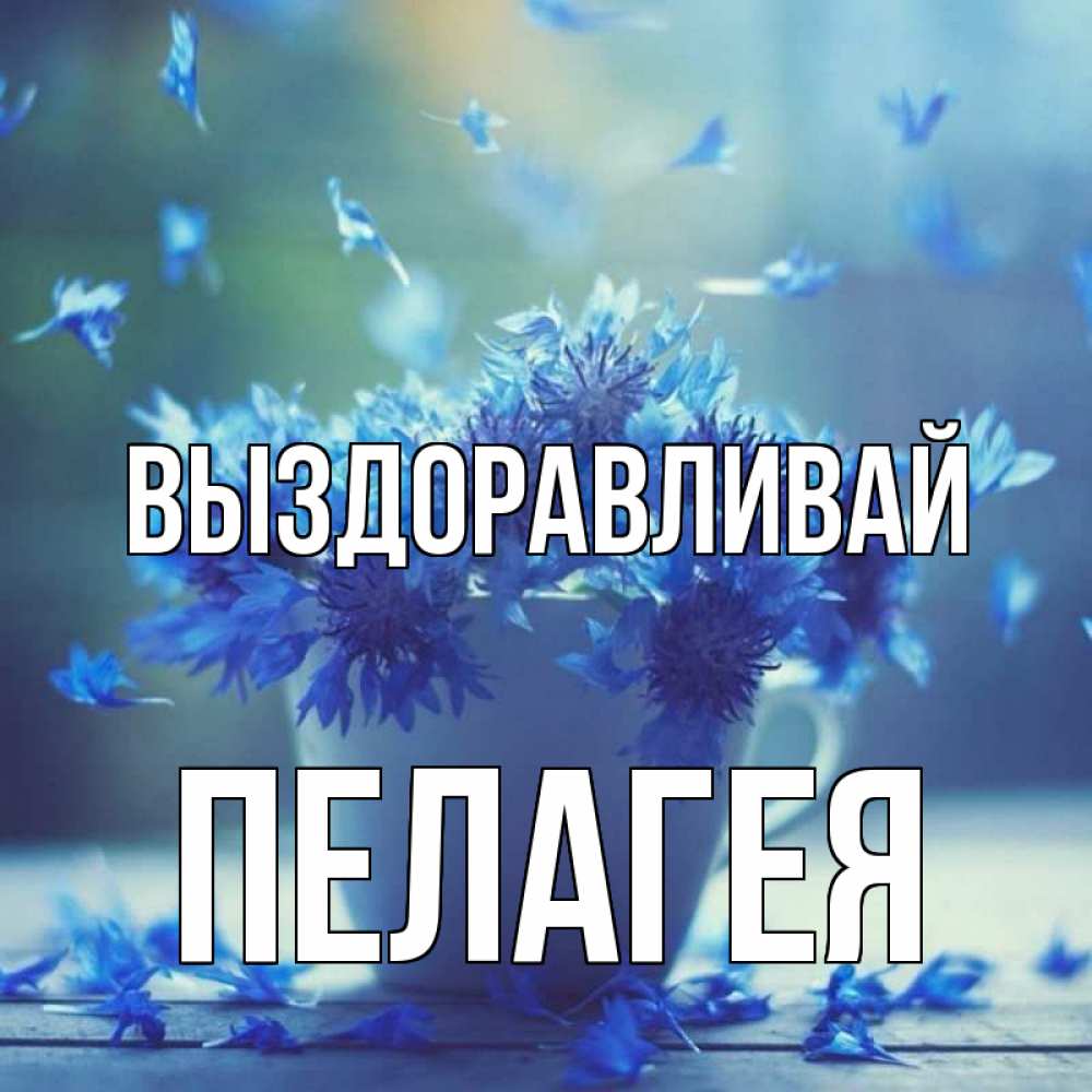 Открытка на каждый день с именем, Пелагея Выздоравливай кружка с зельем и цветами Прикольная открытка с пожеланием онлайн скачать бесплатно 