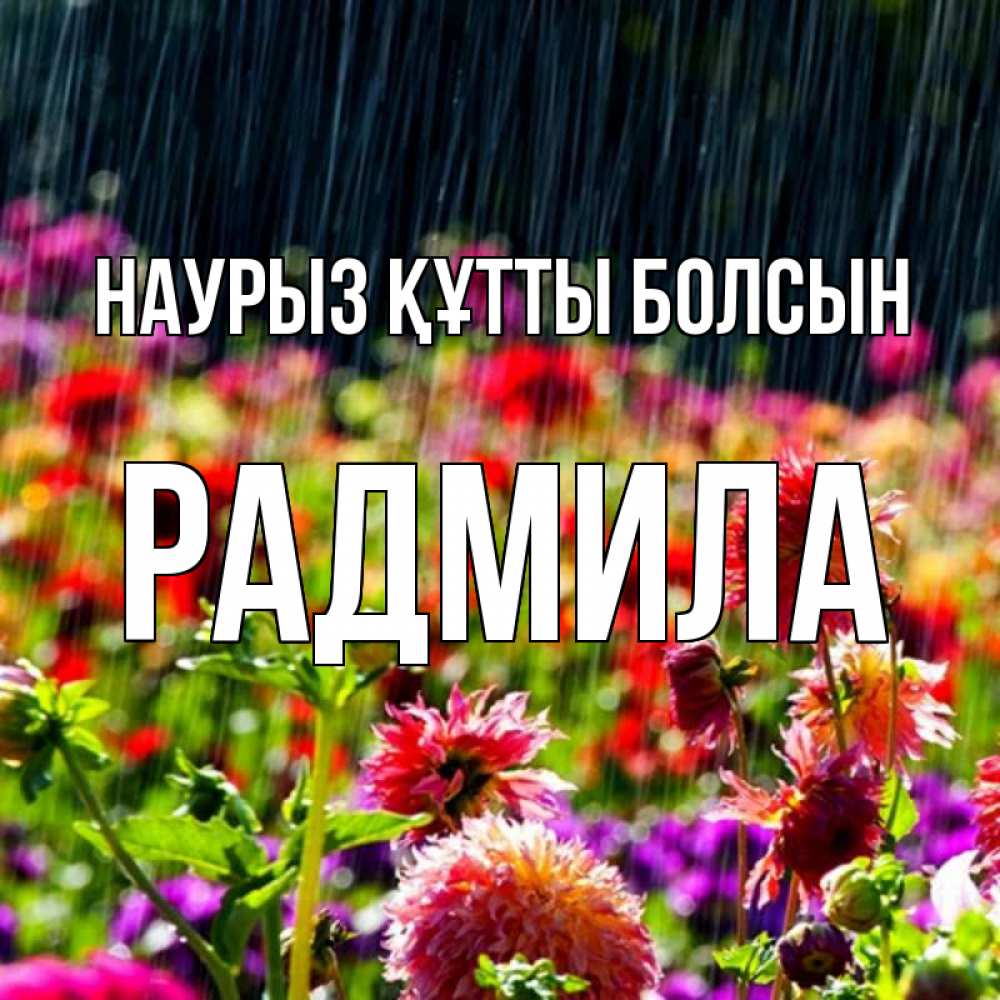 Открытка на каждый день с именем, Радмила Наурыз құтты болсын цветы под дождиком к наурызу Прикольная открытка с пожеланием онлайн скачать бесплатно 