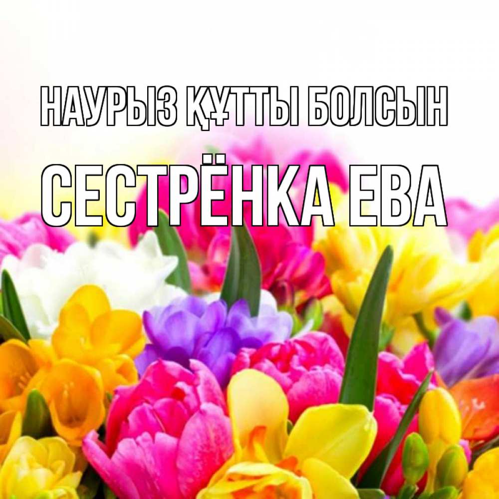 Открытка на каждый день с именем, Сестрёнка-Ева Наурыз құтты болсын тюльпаны Прикольная открытка с пожеланием онлайн скачать бесплатно 