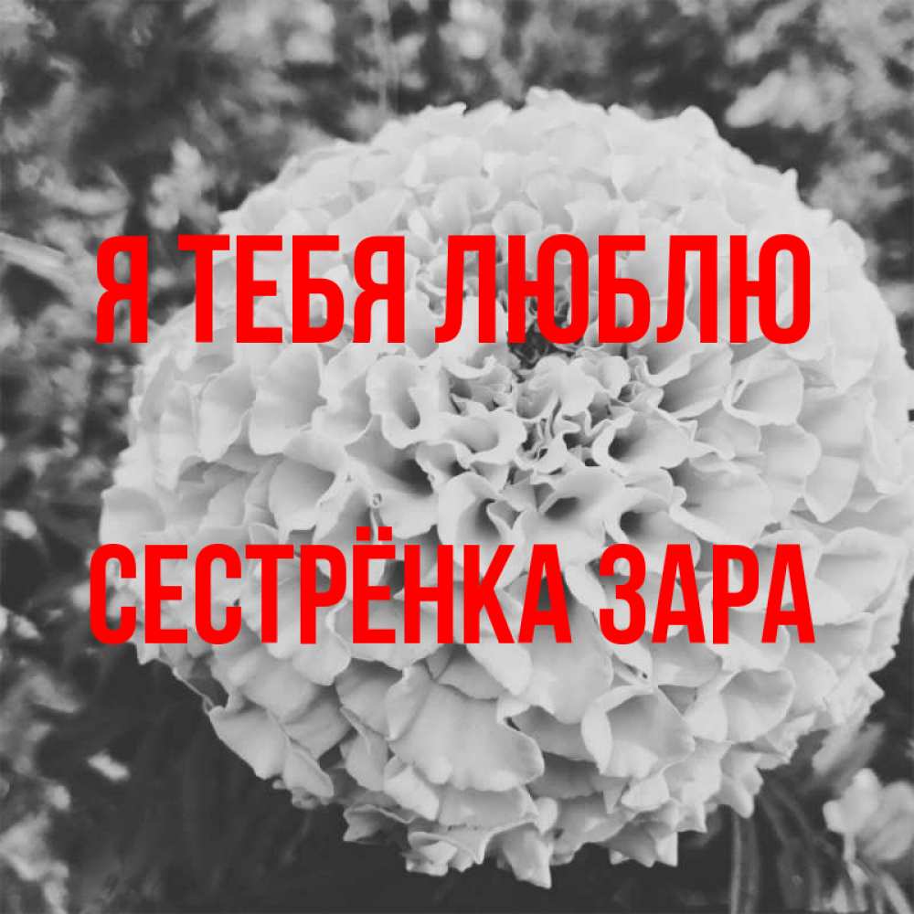 Открытка на каждый день с именем, Сестрёнка-Зара Я тебя люблю подпись Прикольная открытка с пожеланием онлайн скачать бесплатно 