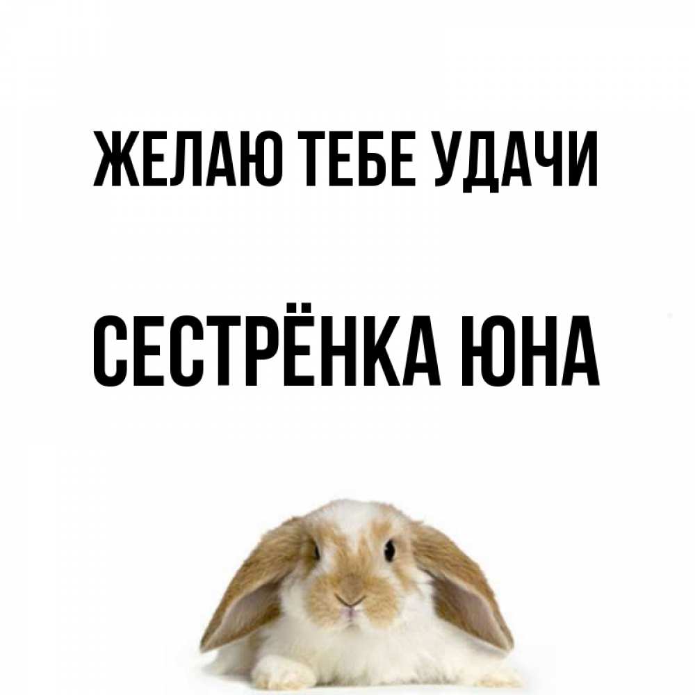 Открытка на каждый день с именем, Сестрёнка-Юна Желаю тебе удачи открытки с произвольным текстом который можно вставить в открытку и создать ее самостоятельно бесплатно онлайн Прикольная открытка с пожеланием онлайн скачать бесплатно 