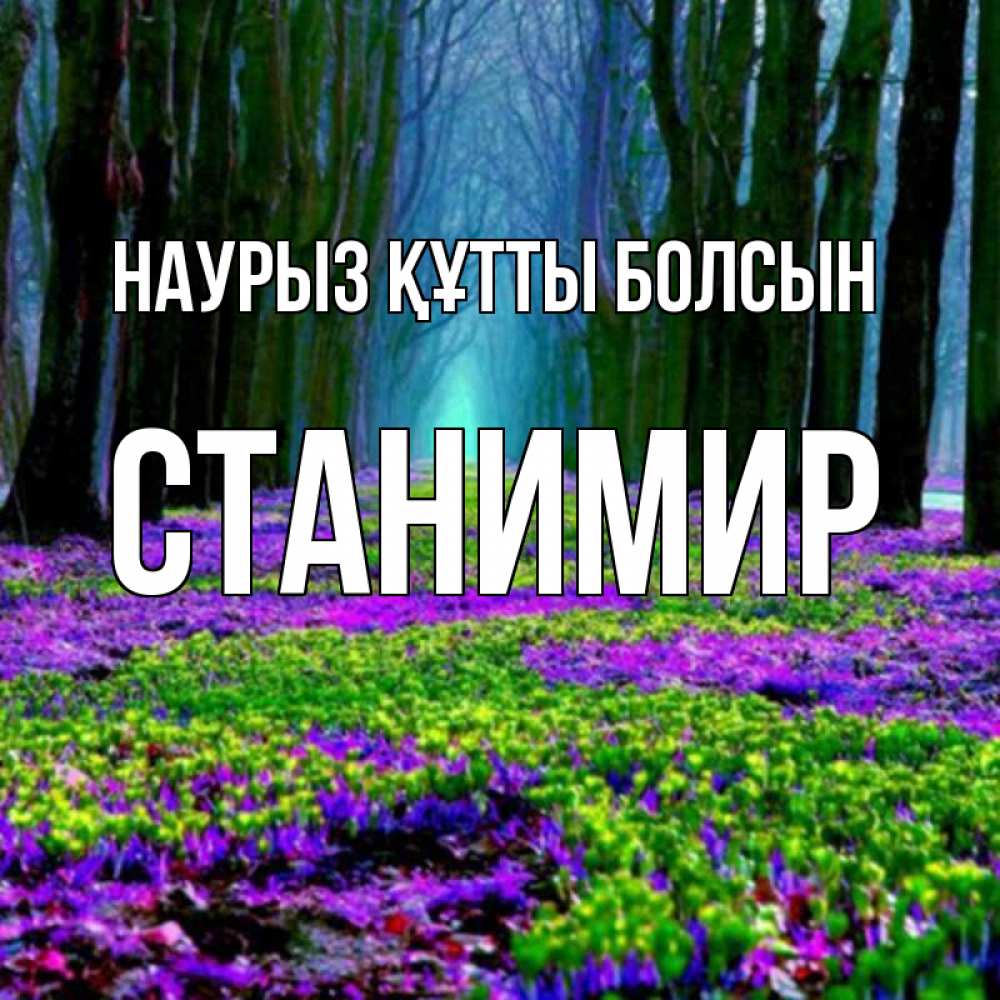 Открытка на каждый день с именем, Станимир Наурыз құтты болсын фиолетовые цветы в лесу 1 Прикольная открытка с пожеланием онлайн скачать бесплатно 