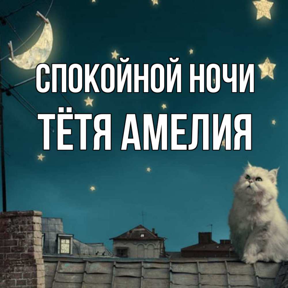 Открытка на каждый день с именем, Тётя-Амелия Спокойной ночи белый кот сидит на крыше Прикольная открытка с пожеланием онлайн скачать бесплатно 