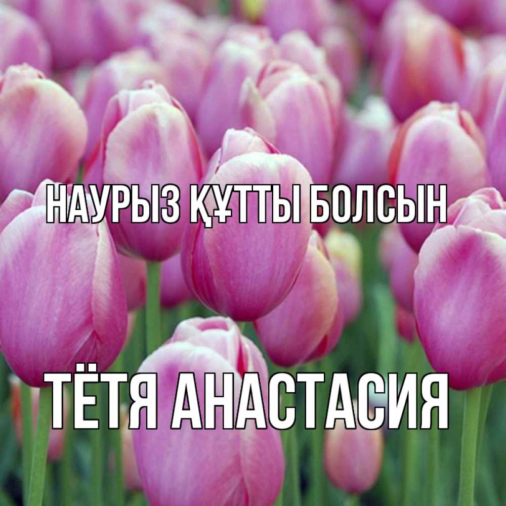 Открытка на каждый день с именем, Тётя-Анастасия Наурыз құтты болсын на наурыз  день 3 Прикольная открытка с пожеланием онлайн скачать бесплатно 