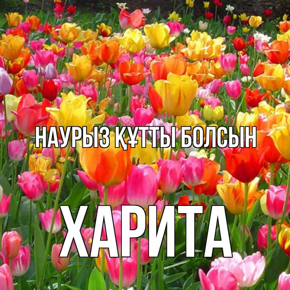 Открытка на каждый день с именем, Харита Наурыз құтты болсын на наурыз  ура ура Прикольная открытка с пожеланием онлайн скачать бесплатно 