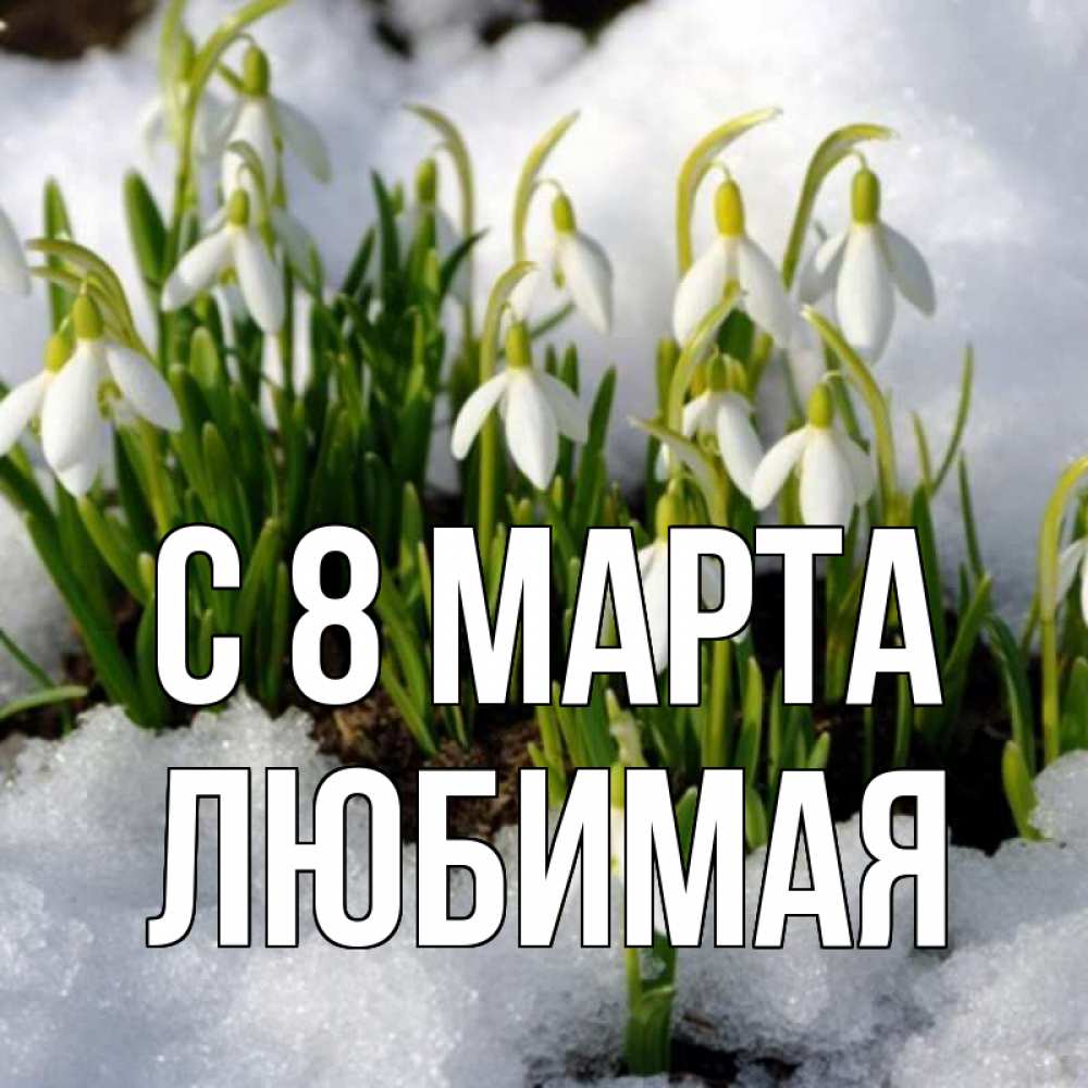 Открытка на каждый день с именем, любимая С 8 МАРТА цветы весенние Прикольная открытка с пожеланием онлайн скачать бесплатно 