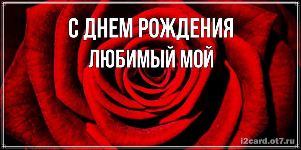 Открытка на каждый день с именем, любимый-мой С днем рождения алая роза Прикольная открытка с пожеланием онлайн скачать бесплатно 