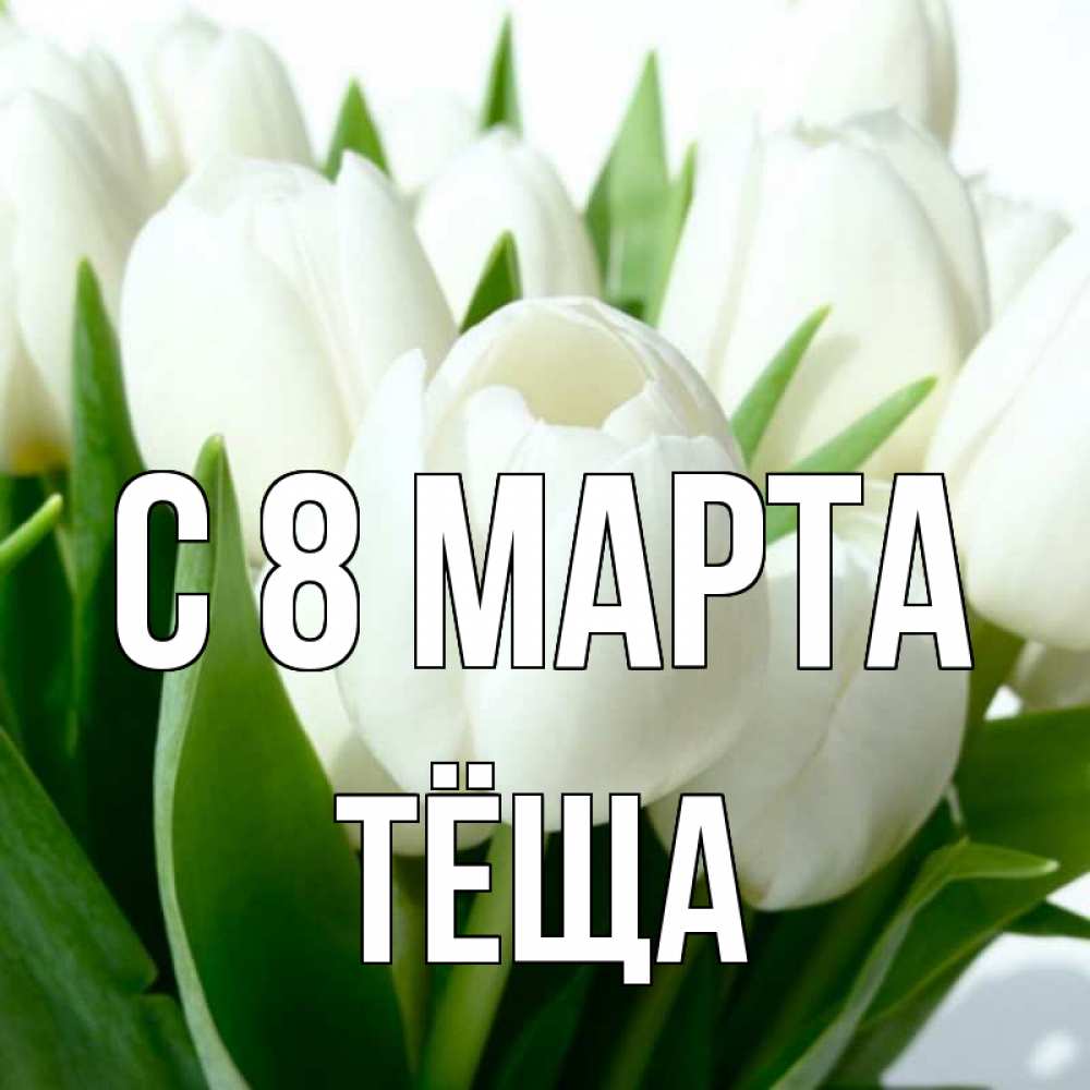 Открытка на каждый день с именем, Тёща С 8 МАРТА цветы Прикольная открытка с пожеланием онлайн скачать бесплатно 