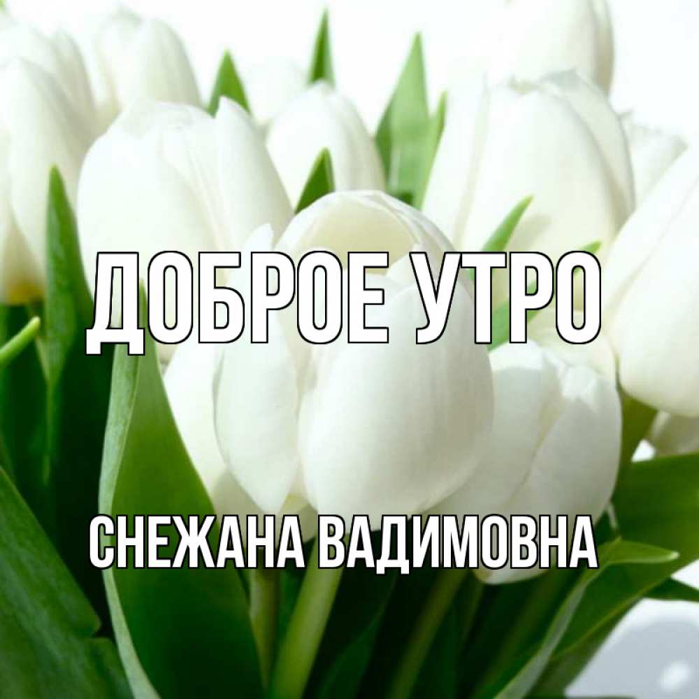 Доброе утро снежана картинки красивые