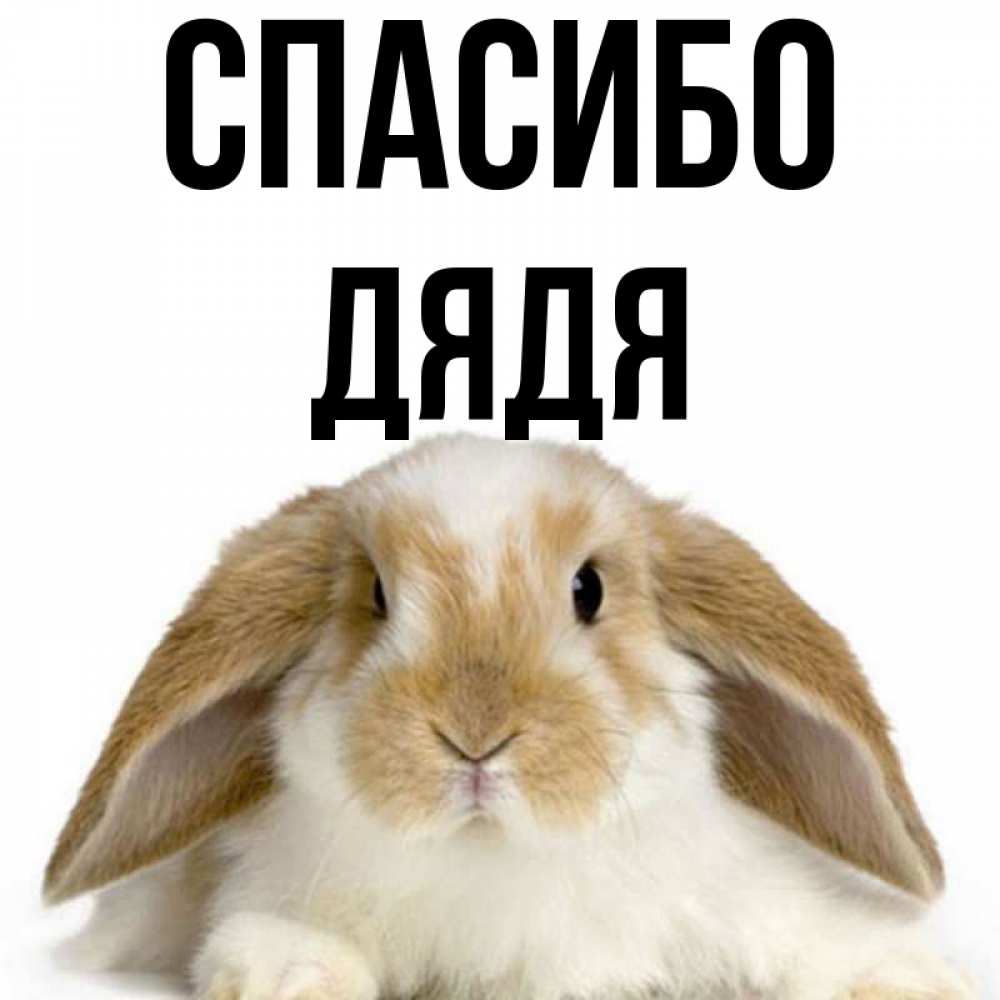 Картинка Спасибо, Дядя