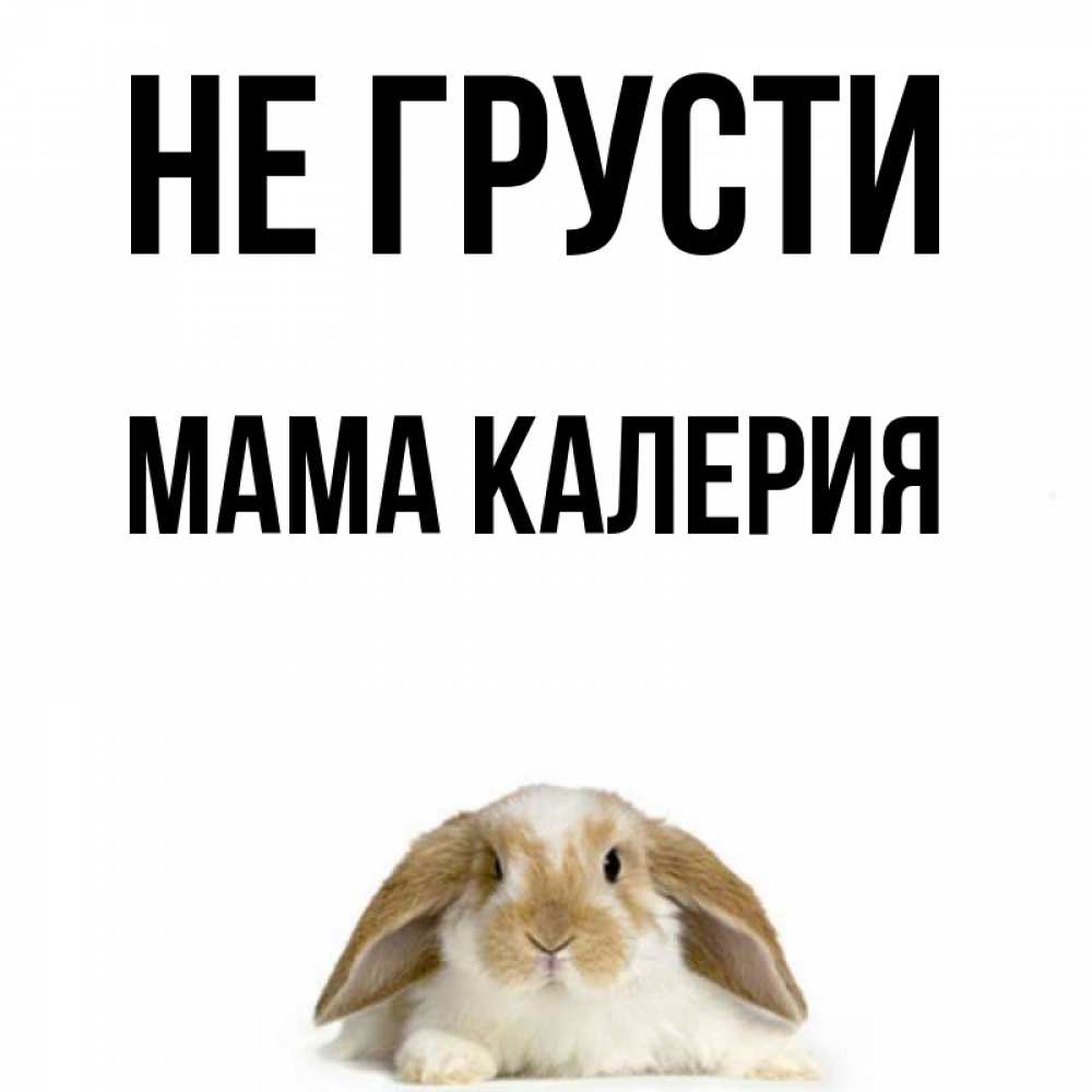 Открытка на каждый день с именем, Мама-Калерия Не грусти коричнево белый заяц с большими ушками Прикольная открытка с пожеланием онлайн скачать бесплатно 