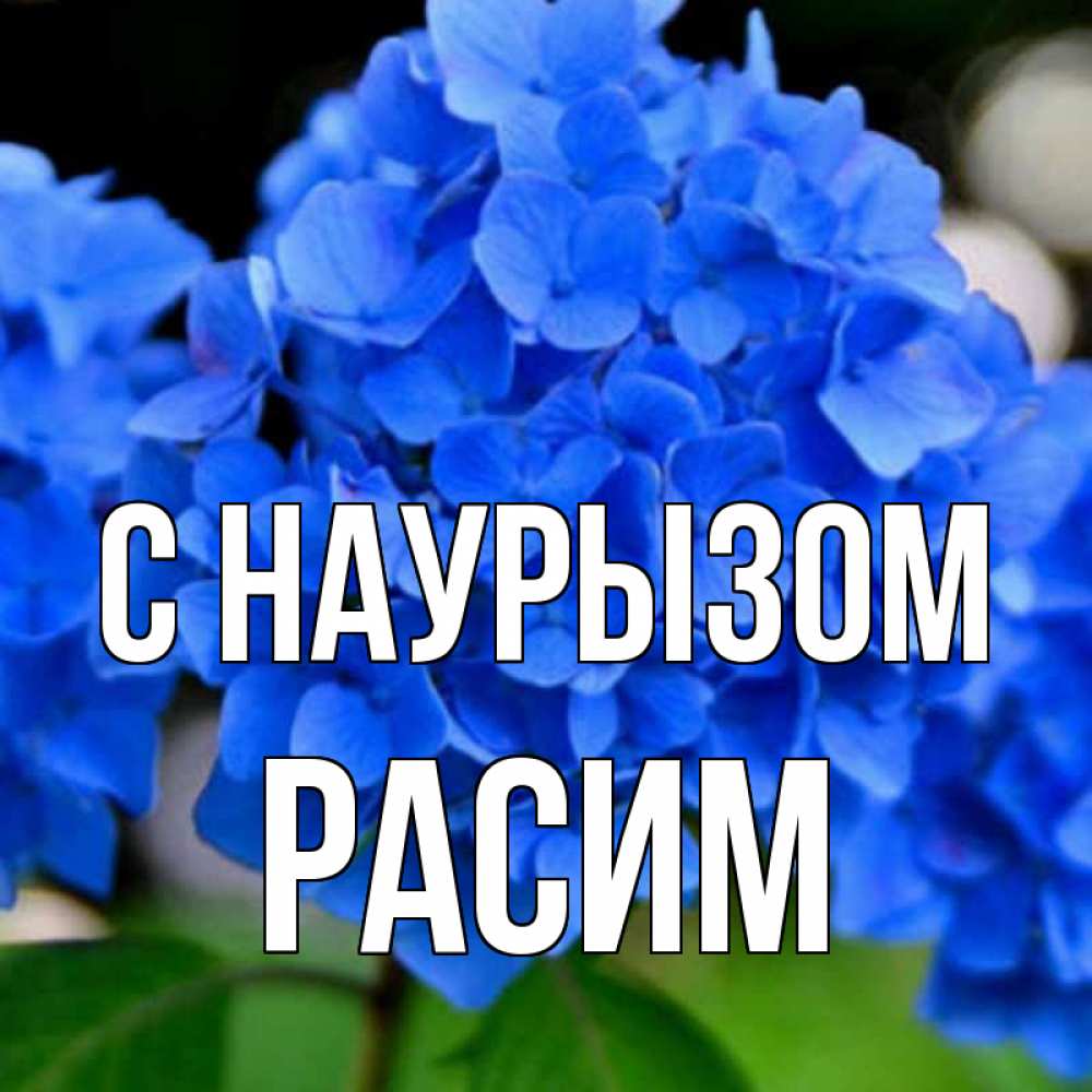 Открытка на каждый день с именем, Расим С наурызом синие цветы Прикольная открытка с пожеланием онлайн скачать бесплатно 