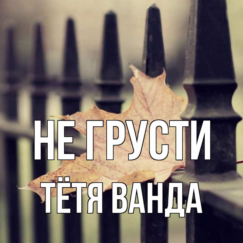 Открытка на каждый день с именем, Тётя-Ванда Не грусти лист клена Прикольная открытка с пожеланием онлайн скачать бесплатно 