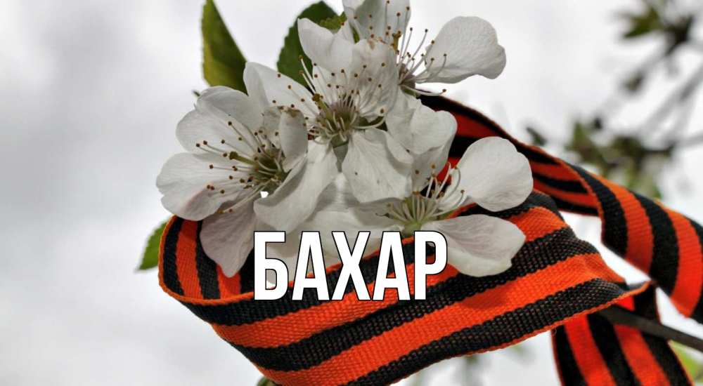 Открытка на каждый день с именем, Бахар Главная 9 мая Прикольная открытка с пожеланием онлайн скачать бесплатно 