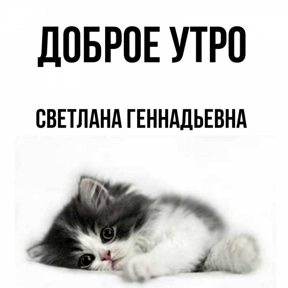 Геннадьевна добрый день