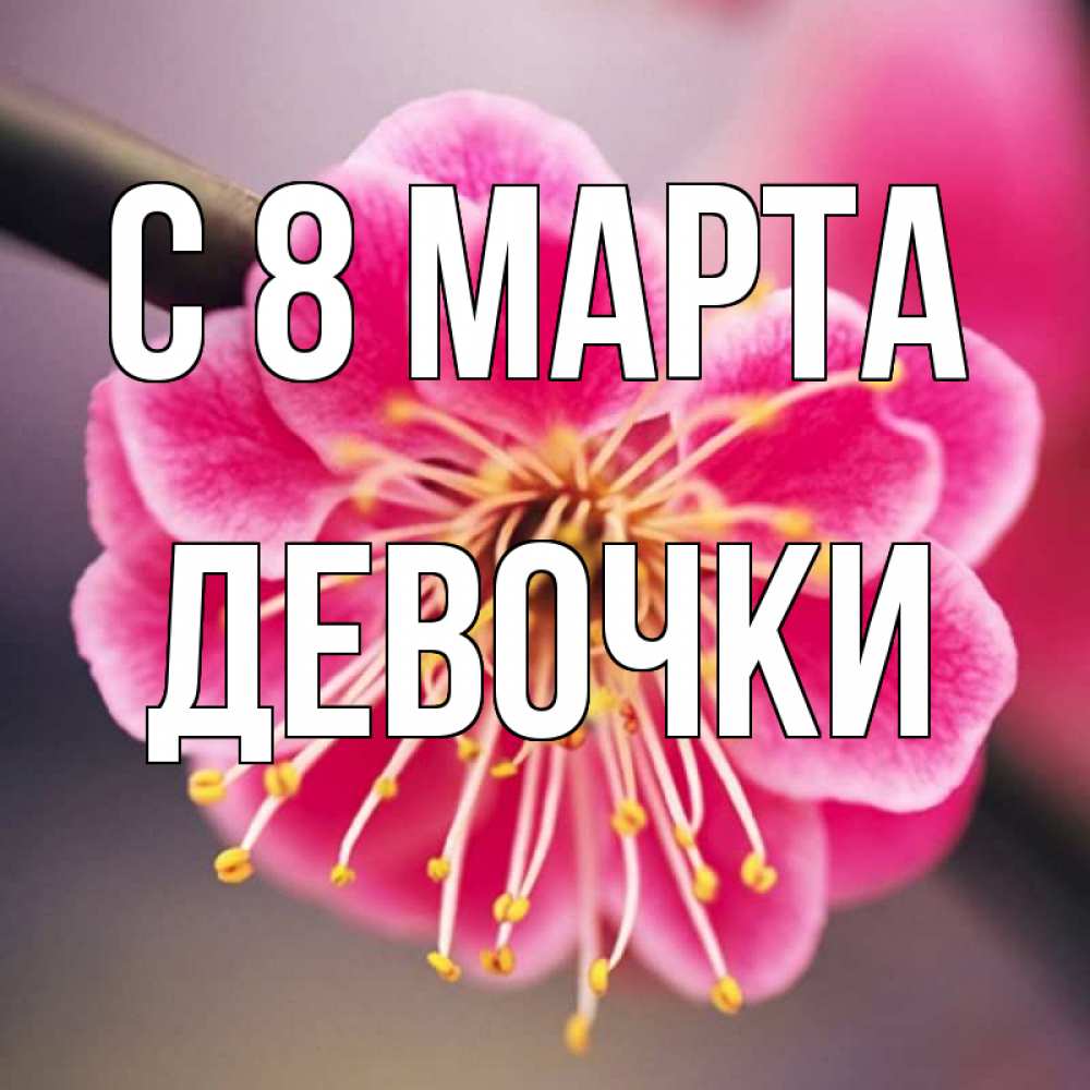 Картинка С 8 МАРТА, ДЕВОЧКИ