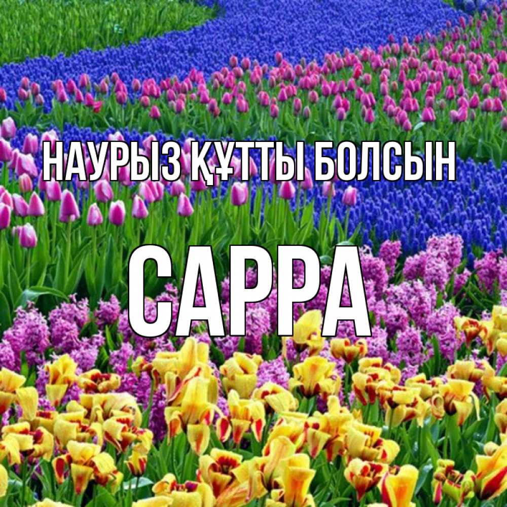 Открытка на каждый день с именем, Сарра Наурыз құтты болсын цветы Прикольная открытка с пожеланием онлайн скачать бесплатно 