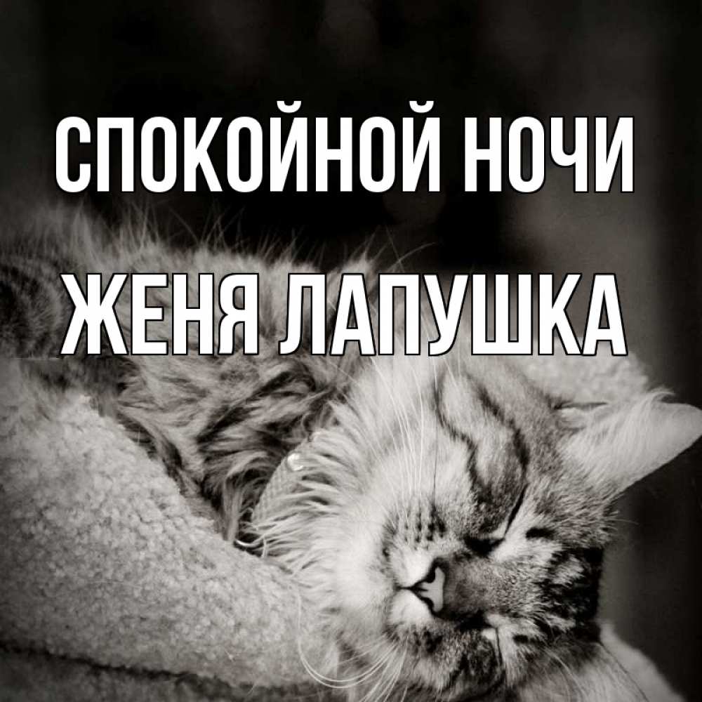 Доброй ночи картинки. Смайлик спокойной ночи сынок. Сладких снов любимому. Спокойной ночи зайчик. Открыточки спокойной ночи.