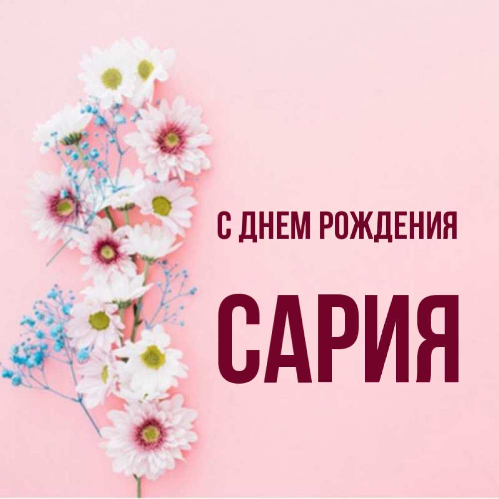 Картинки сария с днем рождения