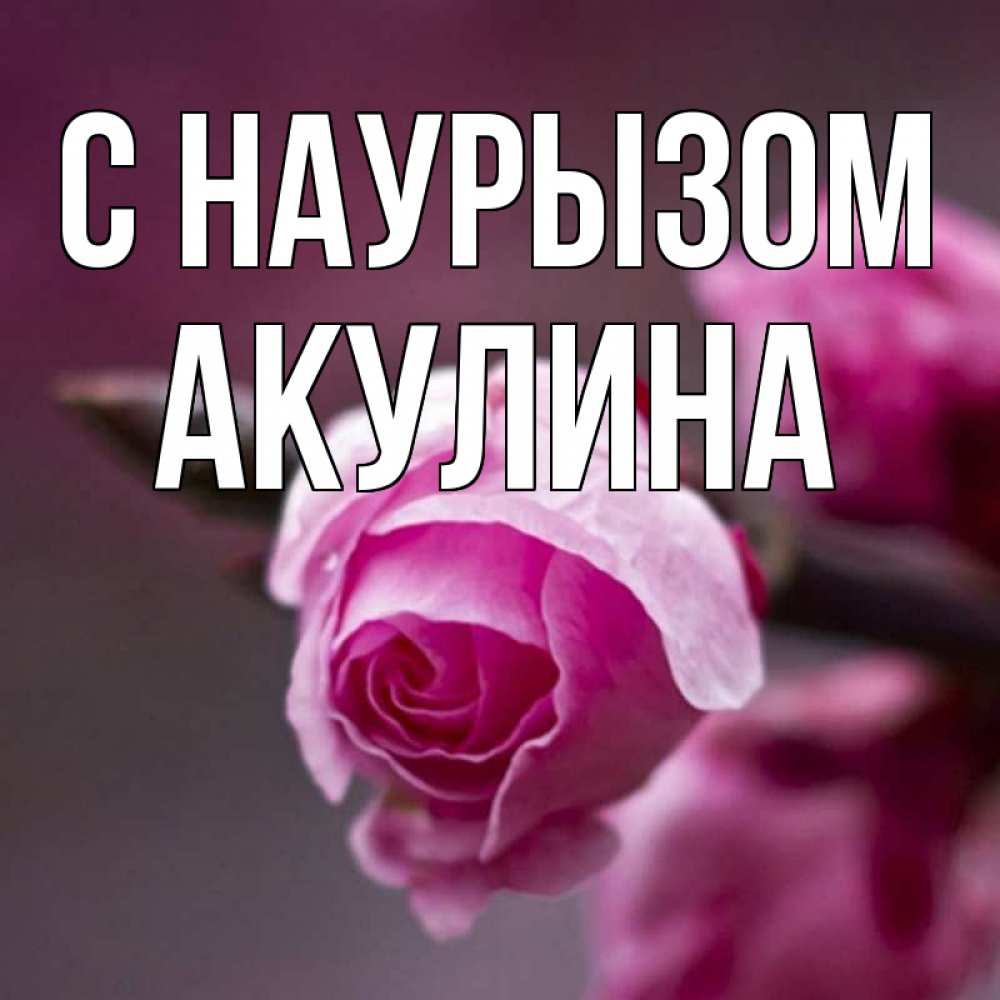 Открытка на каждый день с именем, Акулина С наурызом весна Прикольная открытка с пожеланием онлайн скачать бесплатно 