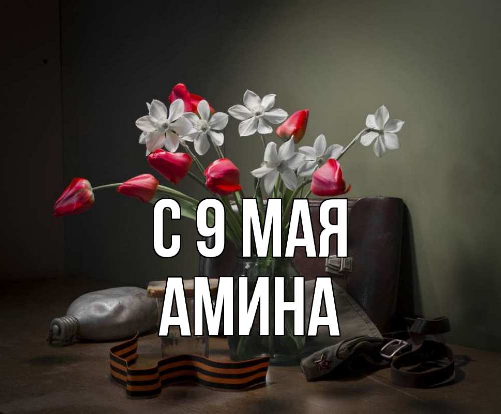 Открытка на каждый день с именем, Амина С 9 мая 9 мая Прикольная открытка с пожеланием онлайн скачать бесплатно 