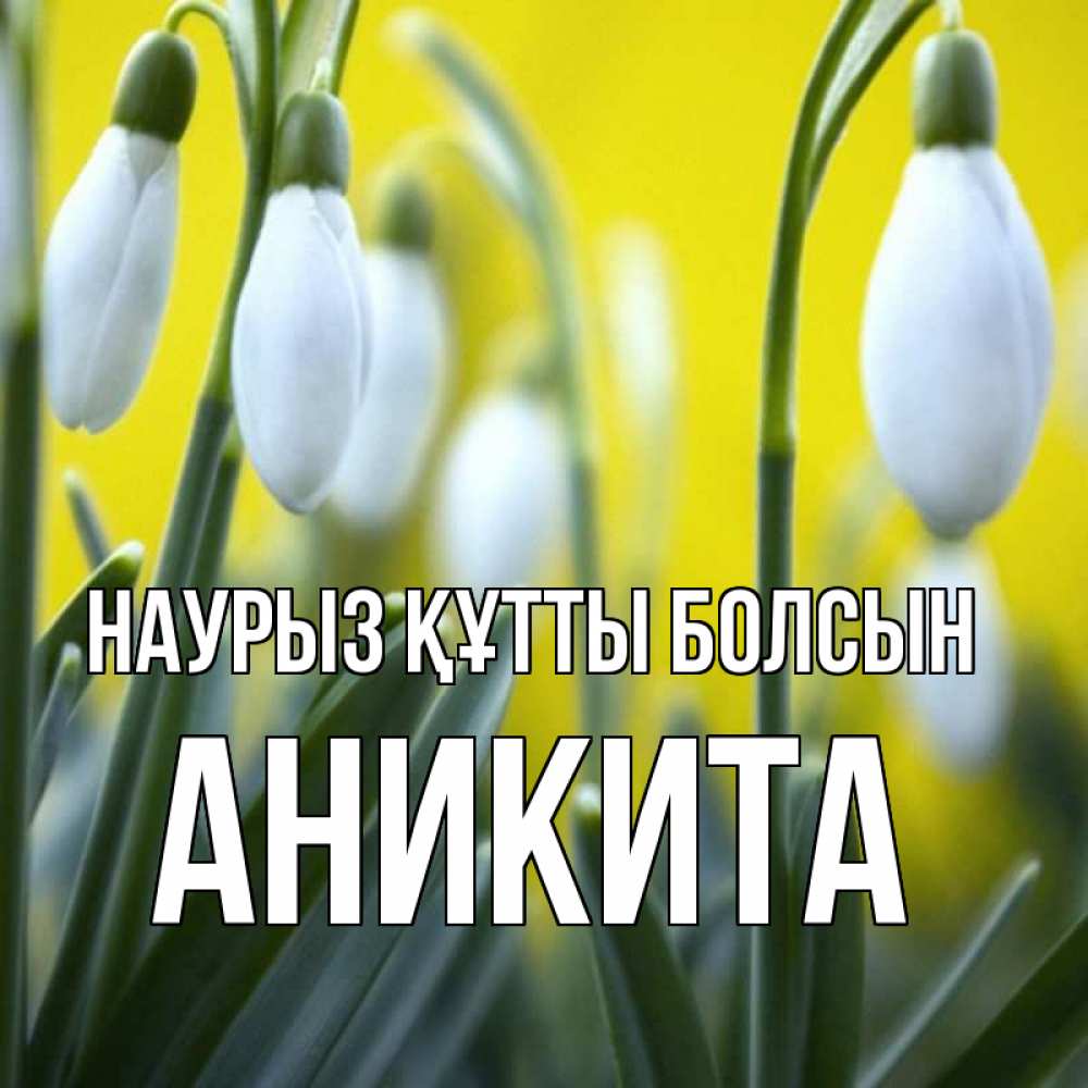 Открытка на каждый день с именем, Аникита Наурыз құтты болсын весенние цветы Прикольная открытка с пожеланием онлайн скачать бесплатно 
