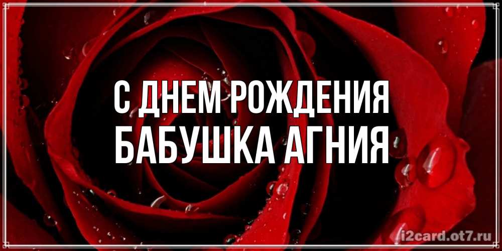 Открытка на каждый день с именем, Бабушка-Агния С днем рождения крупная бордовая роза Прикольная открытка с пожеланием онлайн скачать бесплатно 