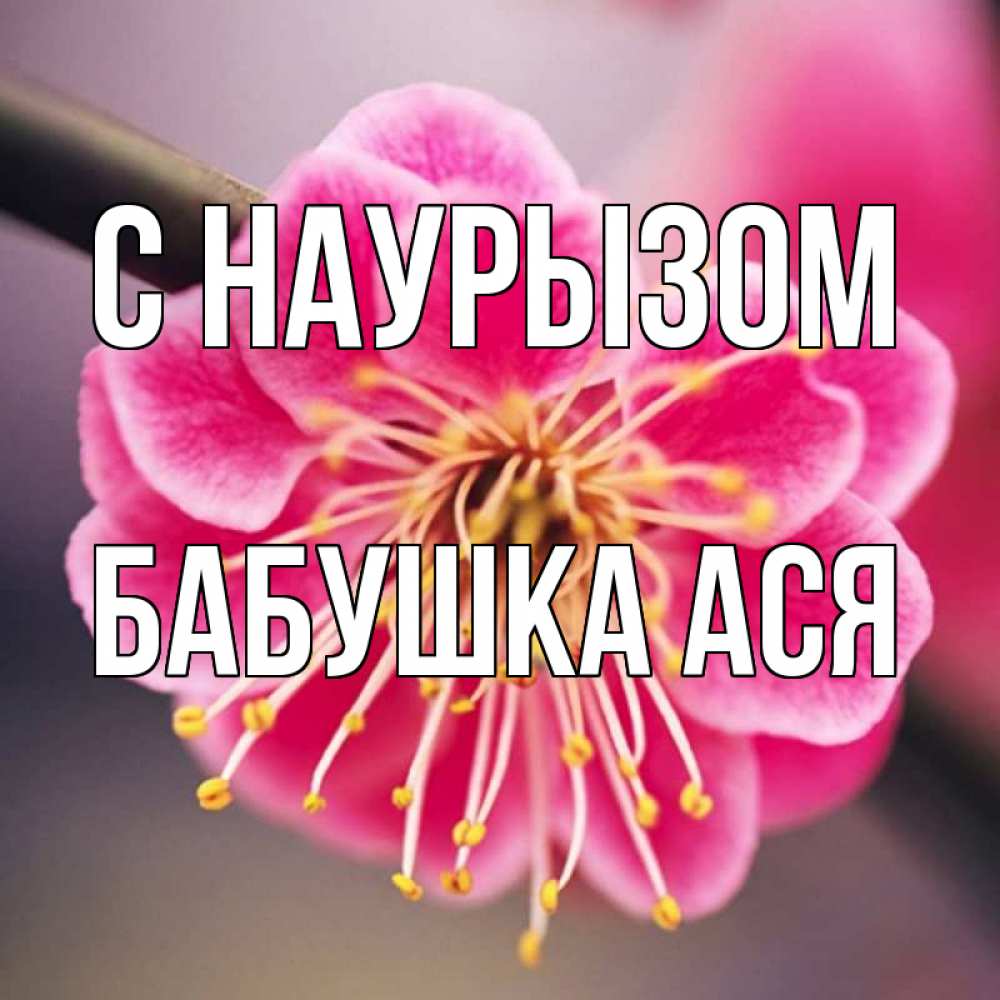 Открытка на каждый день с именем, Бабушка-Ася С наурызом цветы Прикольная открытка с пожеланием онлайн скачать бесплатно 