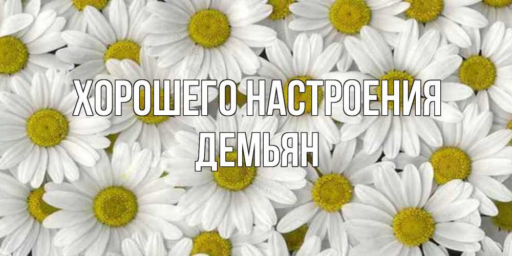 Открытка на каждый день с именем, Демьян Хорошего настроения поляна ромашек Прикольная открытка с пожеланием онлайн скачать бесплатно 