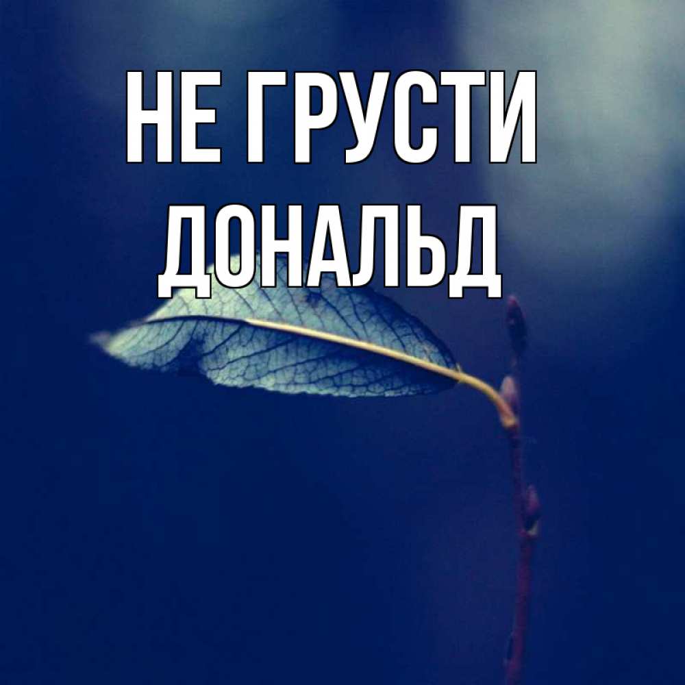 Открытка на каждый день с именем, Дональд Не грусти растение Прикольная открытка с пожеланием онлайн скачать бесплатно 