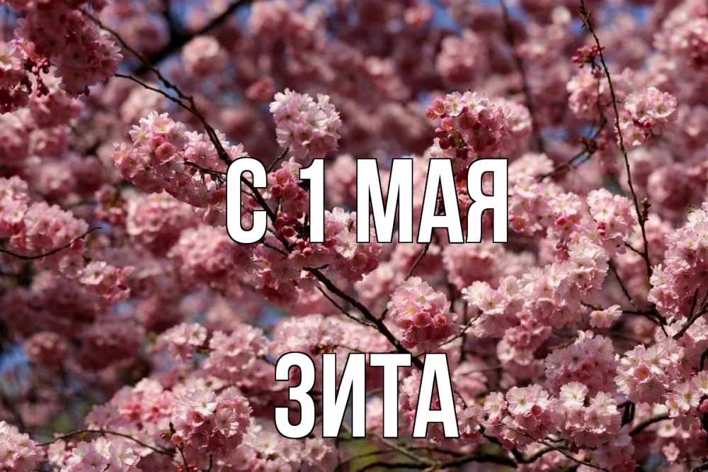 Открытка на каждый день с именем, Зита С 1 мая С 1 мая Прикольная открытка с пожеланием онлайн скачать бесплатно 