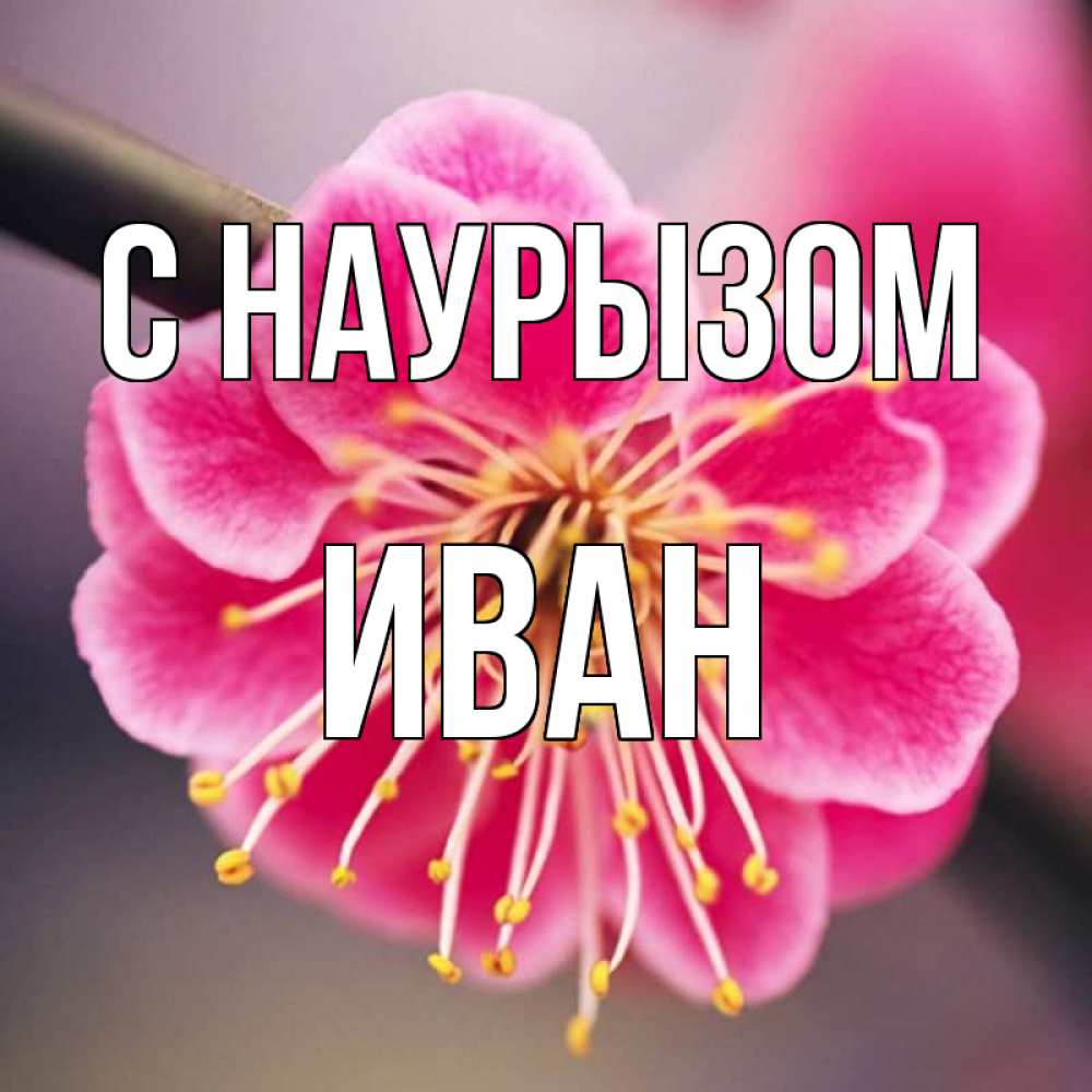 Открытка на каждый день с именем, Иван С наурызом цветы Прикольная открытка с пожеланием онлайн скачать бесплатно 