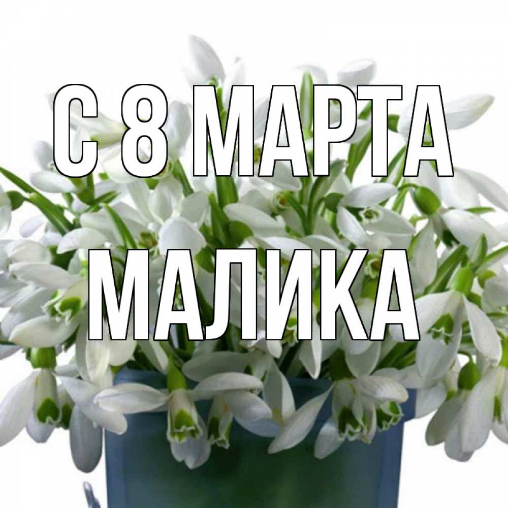 Открытка на каждый день с именем, Малика С 8 МАРТА цветы к международному женскому дню Прикольная открытка с пожеланием онлайн скачать бесплатно 