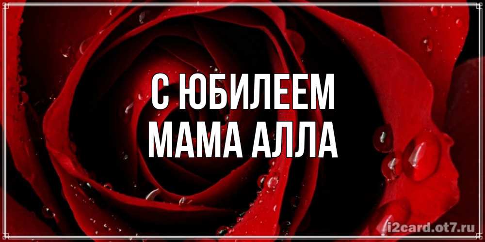 Открытка на каждый день с именем, Мама-Алла С юбилеем крупная бордовая роза Прикольная открытка с пожеланием онлайн скачать бесплатно 