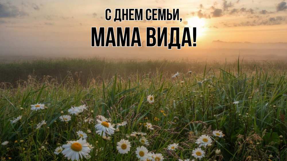 Открытка на каждый день с именем, Мама-Вида С днем семьи с днем семьи Прикольная открытка с пожеланием онлайн скачать бесплатно 