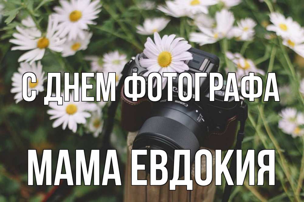 Открытка на каждый день с именем, Мама-Евдокия С днем фотографа с днем фотографа Прикольная открытка с пожеланием онлайн скачать бесплатно 