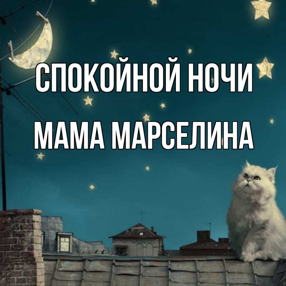 Открытка на каждый день с именем, Мама-Марселина Спокойной ночи белый кот сидит на крыше Прикольная открытка с пожеланием онлайн скачать бесплатно 