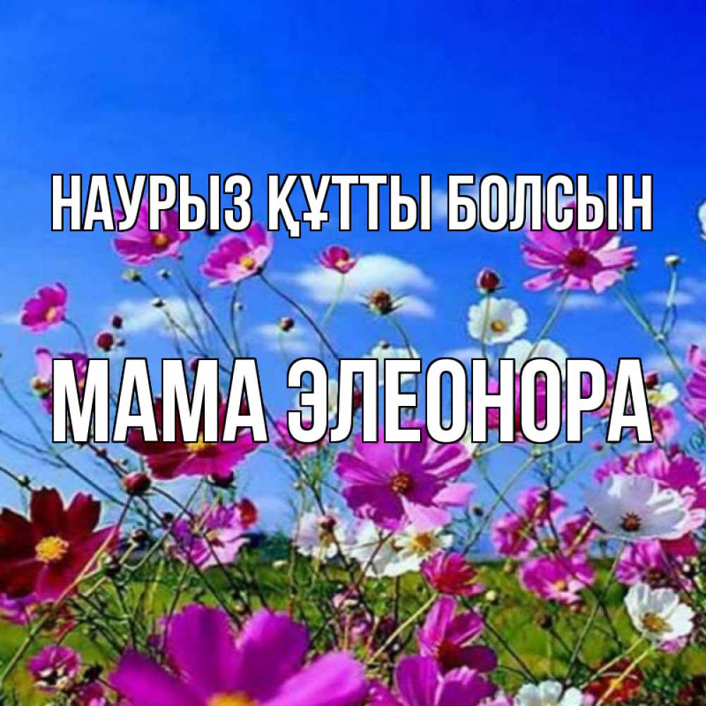 Открытка на каждый день с именем, Мама-Элеонора Наурыз құтты болсын цветы Прикольная открытка с пожеланием онлайн скачать бесплатно 