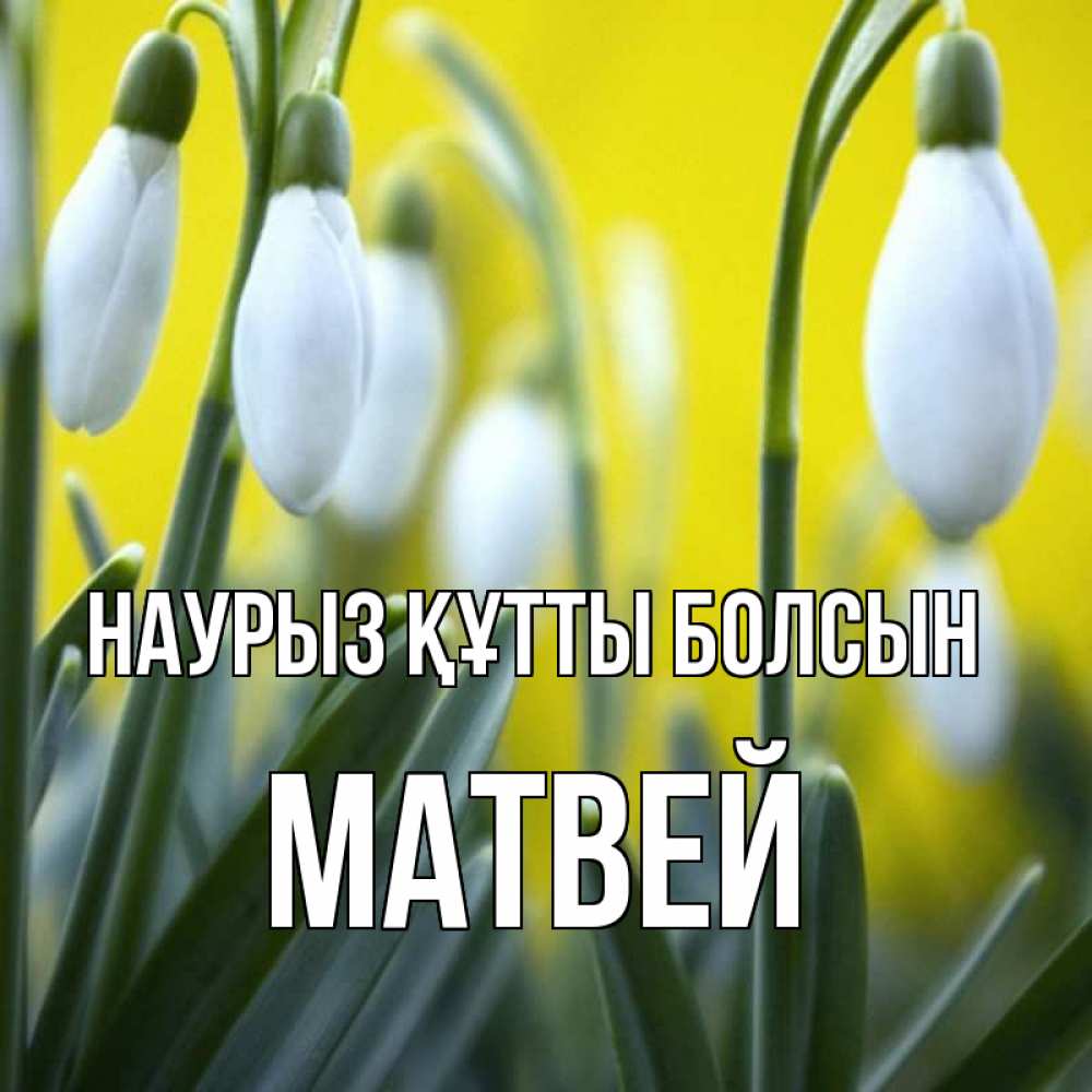 Открытка на каждый день с именем, Матвей Наурыз құтты болсын весенние цветы Прикольная открытка с пожеланием онлайн скачать бесплатно 