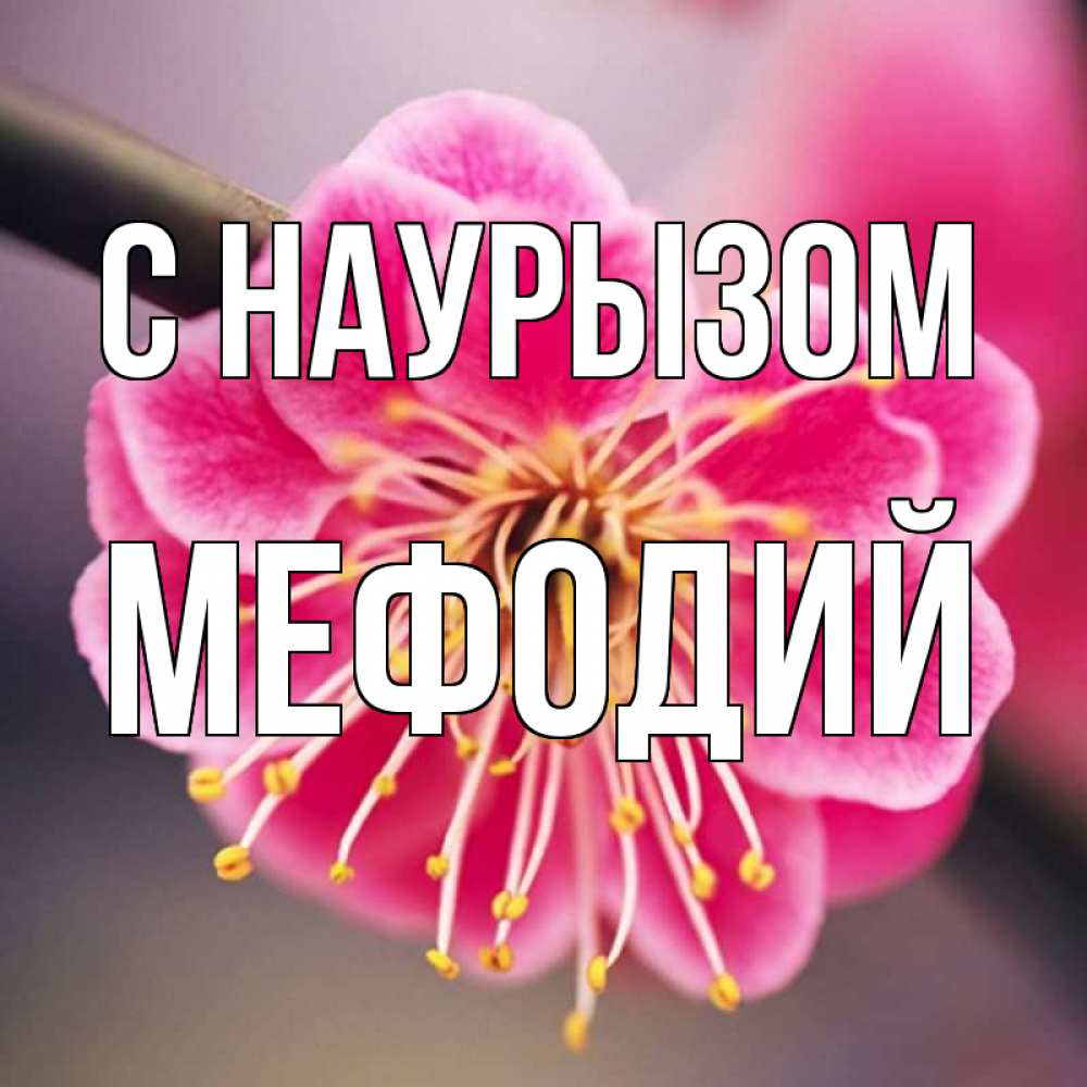 Открытка на каждый день с именем, Мефодий С наурызом цветы Прикольная открытка с пожеланием онлайн скачать бесплатно 
