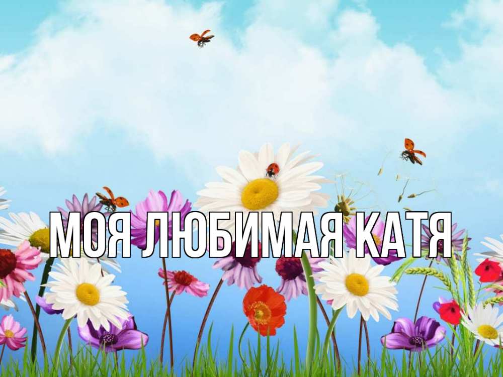 Открытка на каждый день с именем, Моя-любимая-Катя Главная С 1 мая Прикольная открытка с пожеланием онлайн скачать бесплатно 
