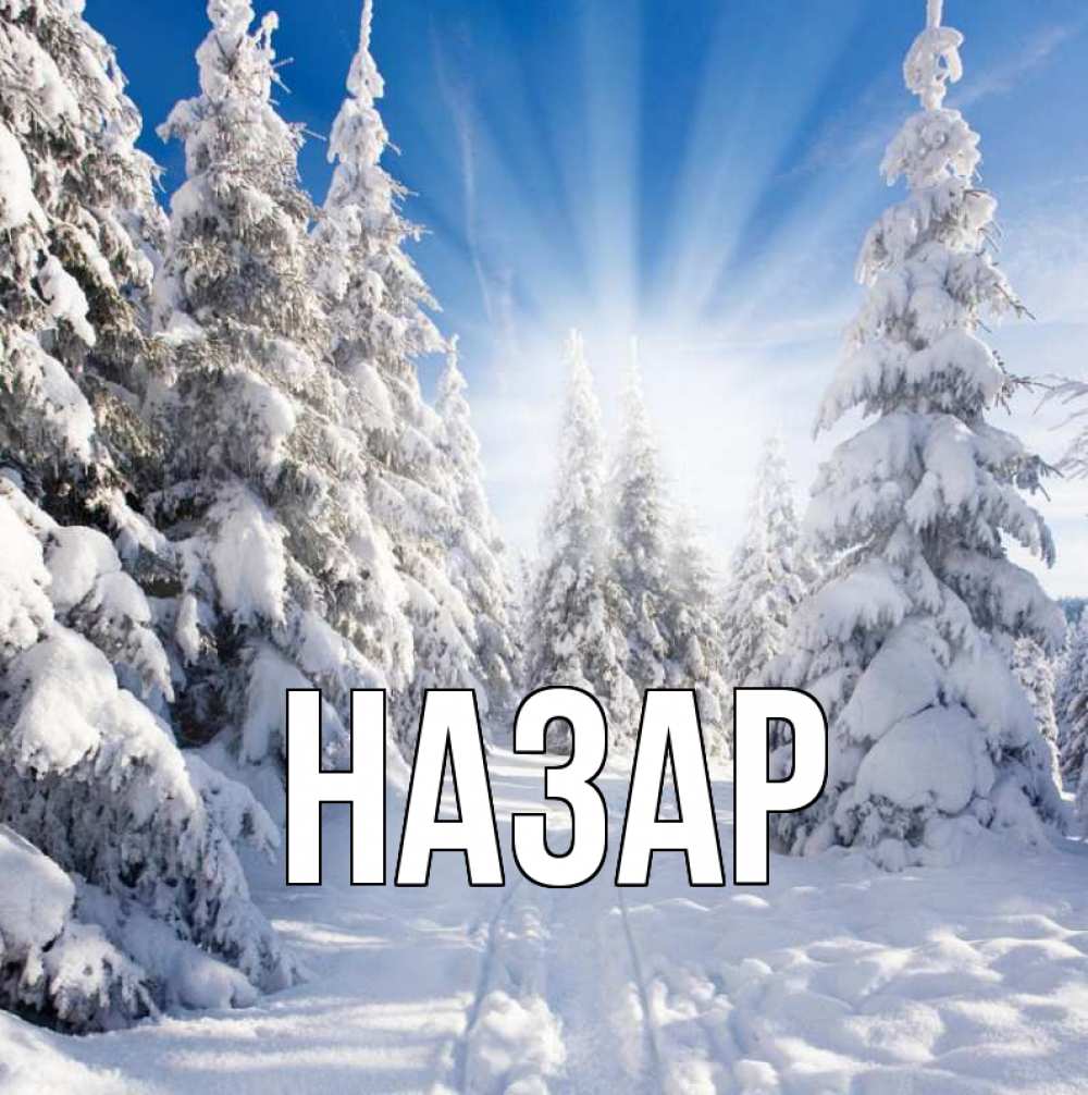 Открытка на каждый день с именем, Назар Главная зима, лес Прикольная открытка с пожеланием онлайн скачать бесплатно 