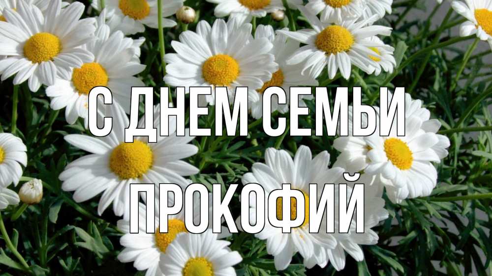 Картинка С днем семьи, Прокофий
